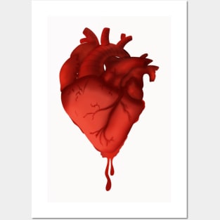 Anatomical Heart Posters and Art